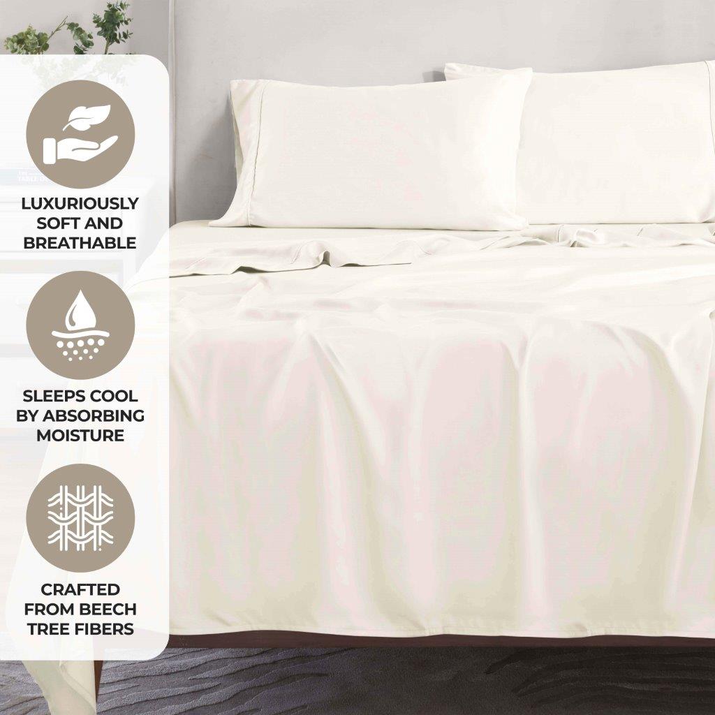 300 Thread Count Modal from Beechwood Solid Pillowcase Set - Ivory