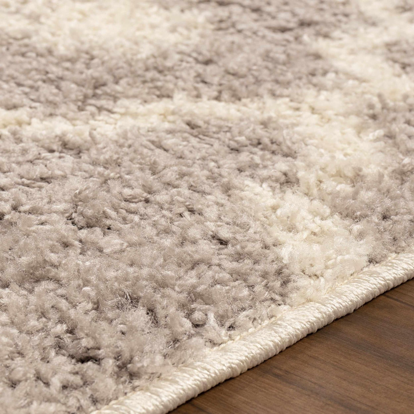 Alyssum Contemporary Geometric Trellis Indoor Shag Area Rug