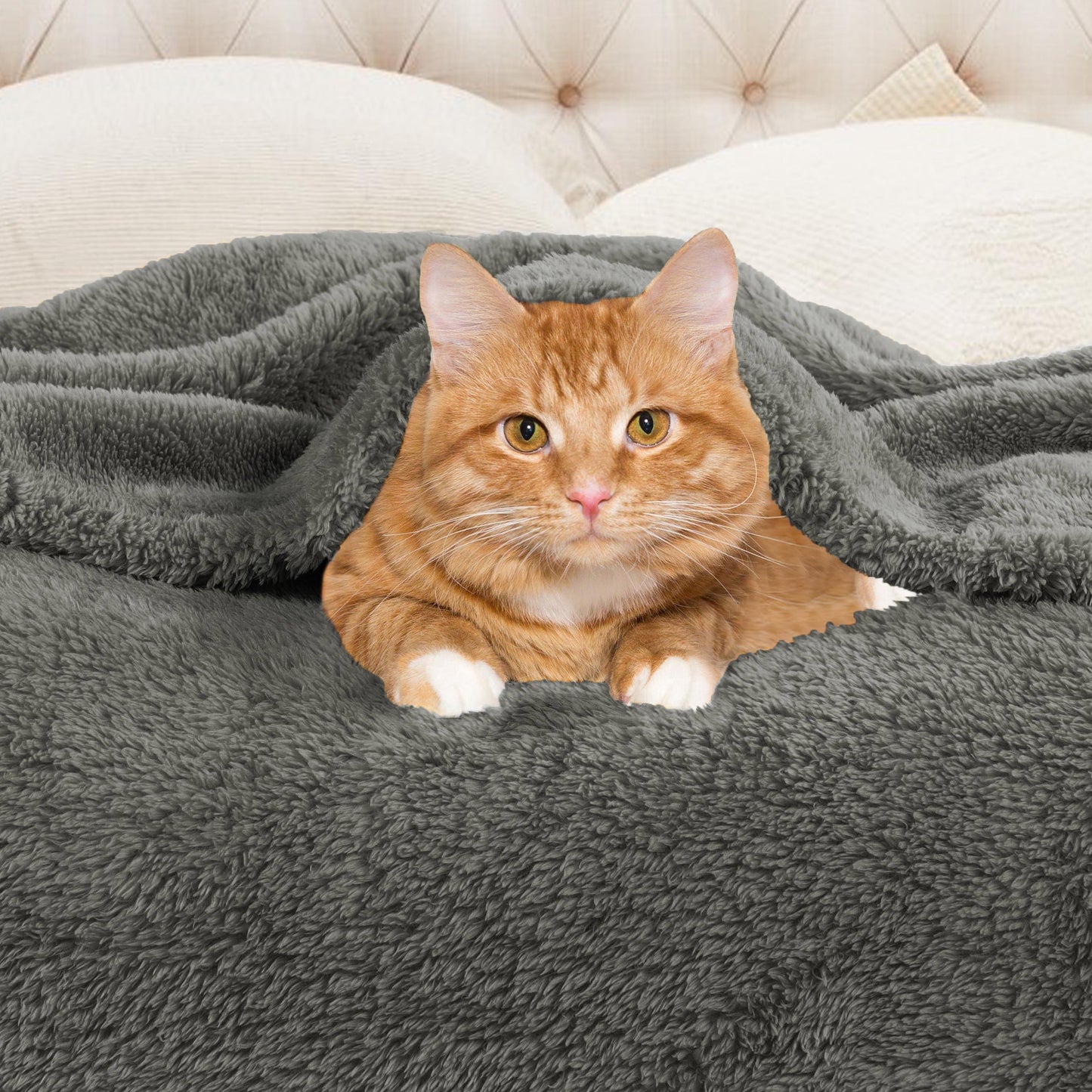 Fleece Plush Medium Weight Fluffy Soft Solid Decorative Blanket - Charcoal