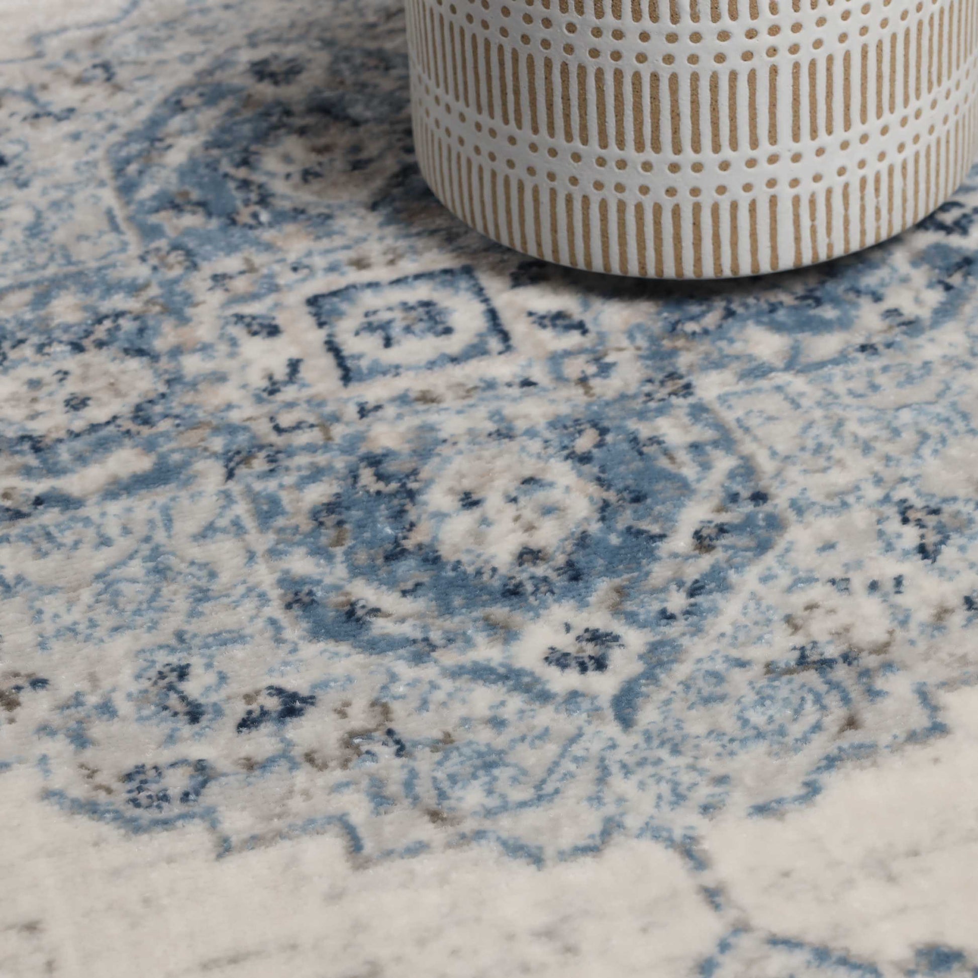 Demelza Vintage Traditional Oriental Medallion Indoor Area Rug - Blue