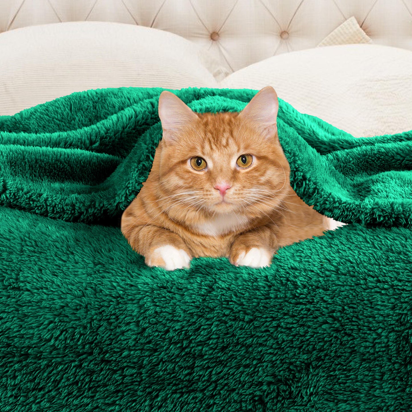 Fleece Plush Medium Weight Fluffy Soft Solid Decorative Blanket - EverGreen