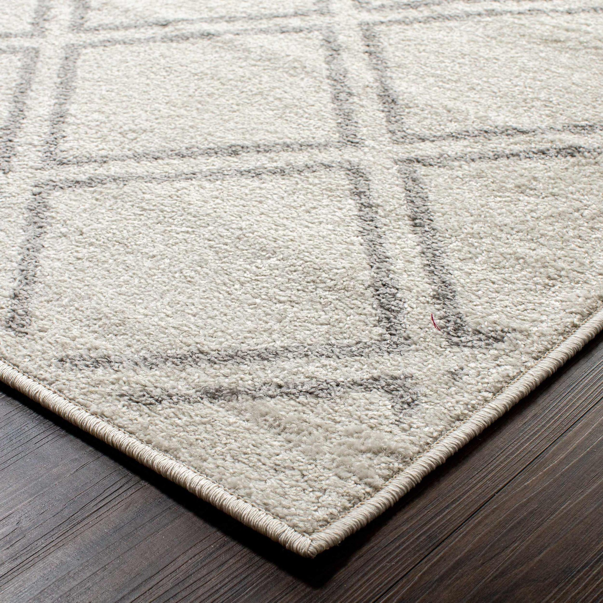 Hanleigh Modern Geometric Diamond Lattice Indoor Area Rug - Ivory