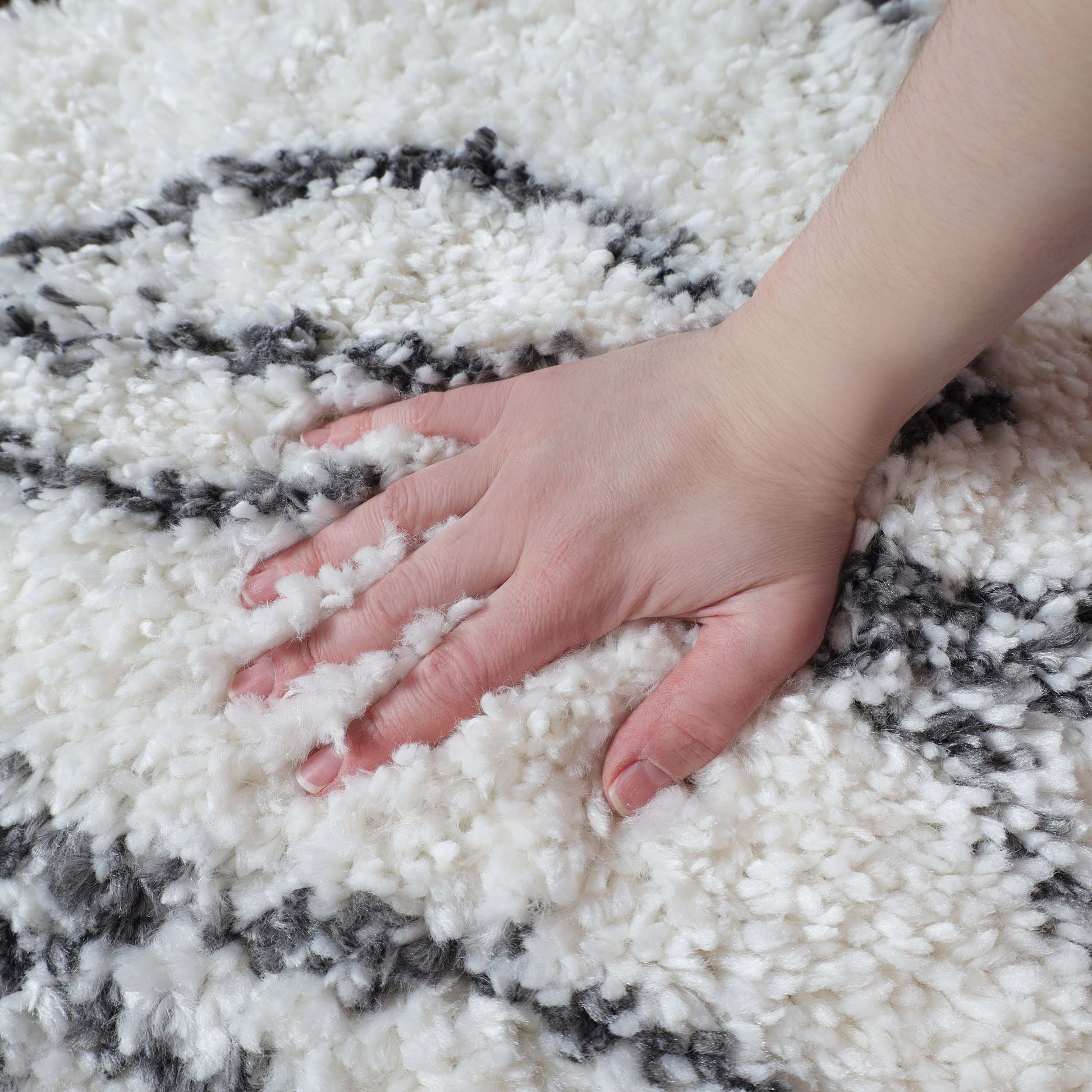 Superior Botanical Indoor Plush Shag Transitional Area Rug - Cream-Black