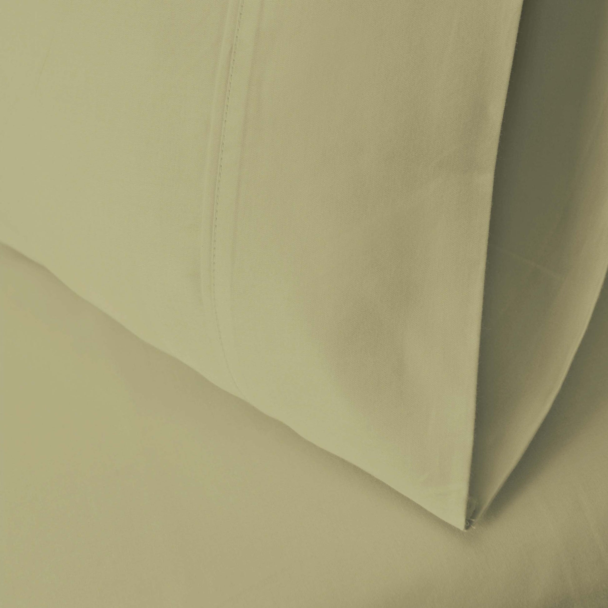 300 Thread Count Cotton Vintage Solid Or Floral Bellflower Sheet Set - Sage
