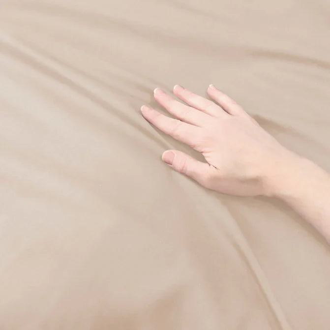 Cotton Percale Modern Traditional Duvet Cover Set - Tan