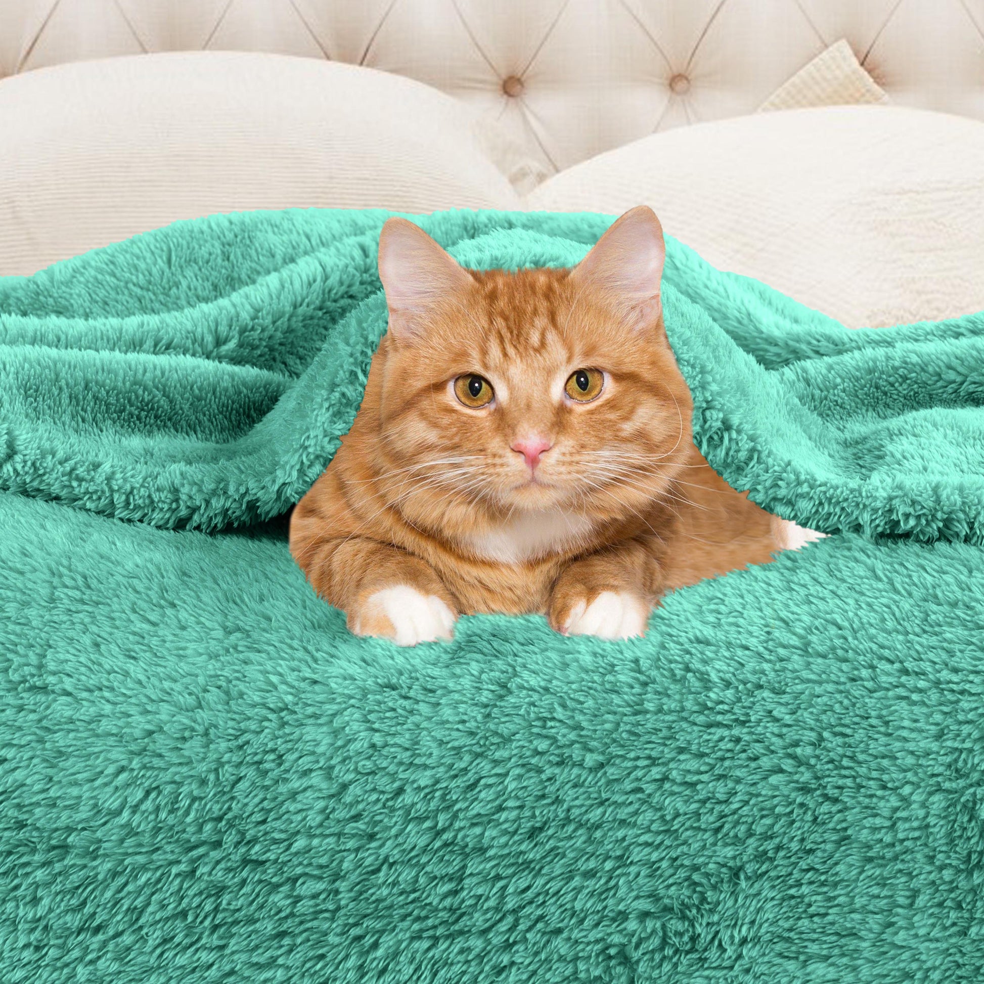 Fleece Plush Medium Weight Fluffy Soft Solid Decorative Blanket - Turquoise