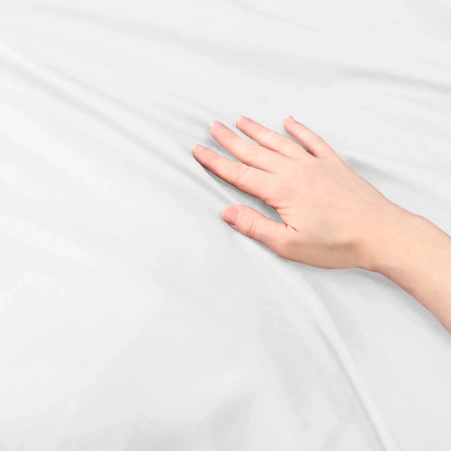 Cotton Percale Modern Traditional Duvet Cover Set - White