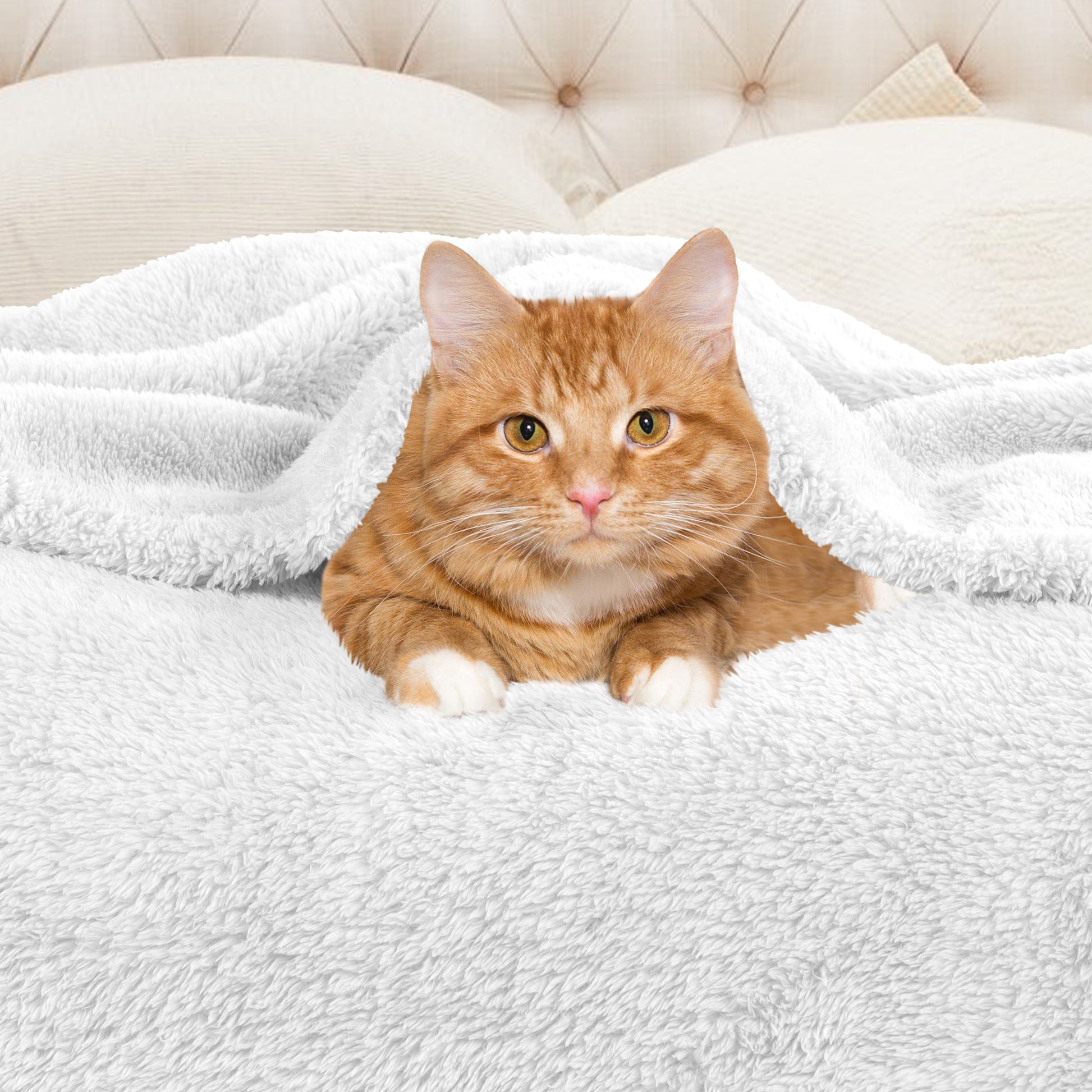 Fleece Plush Medium Weight Fluffy Soft Solid Decorative Blanket - White