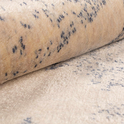 Superior Larkspur Distressed Floral Area Rug 