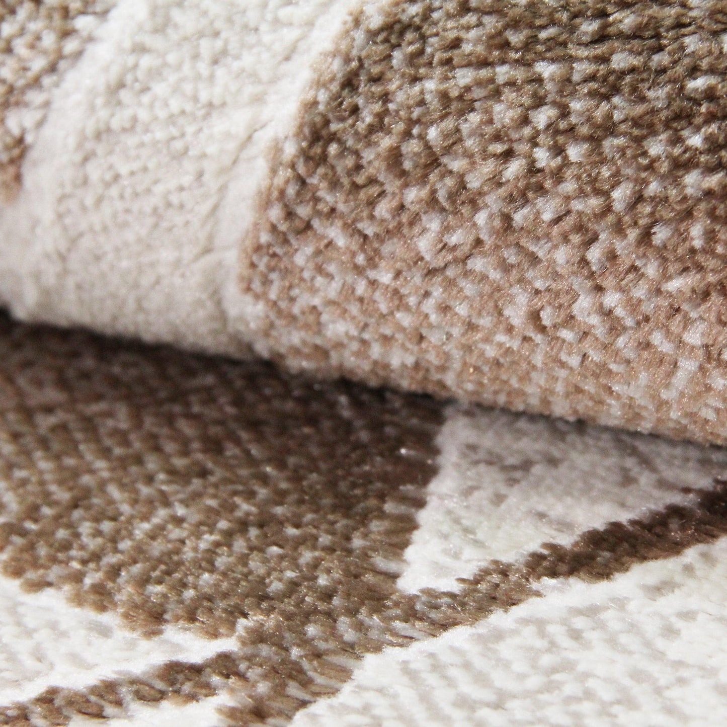  Palesa Scrolling Botanical Vines floral motif Indoor Area Rug - Hazelnut