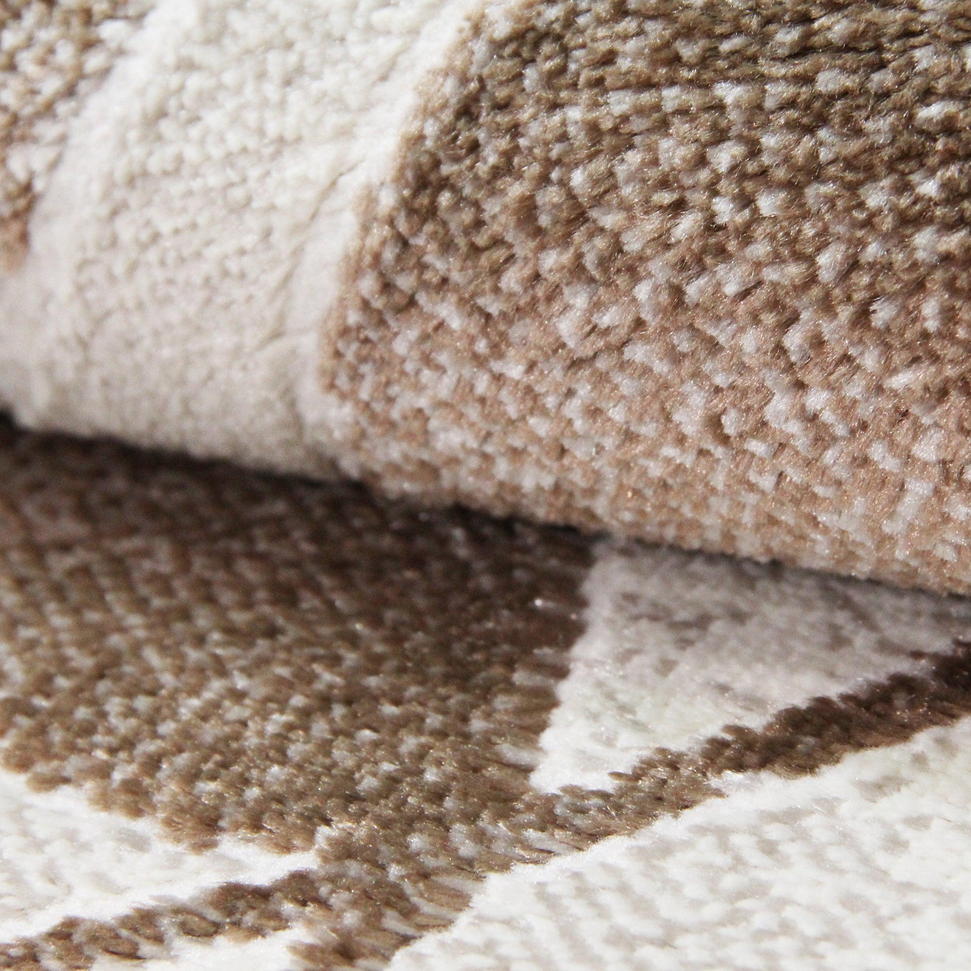  Palesa Scrolling Botanical Vines floral motif Indoor Area Rug - Hazelnut