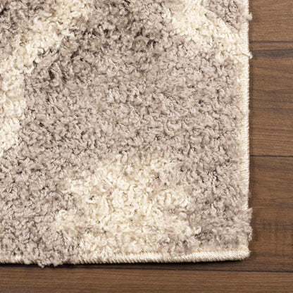  Alyssum Contemporary Geometric Trellis Indoor Shag Area Rug