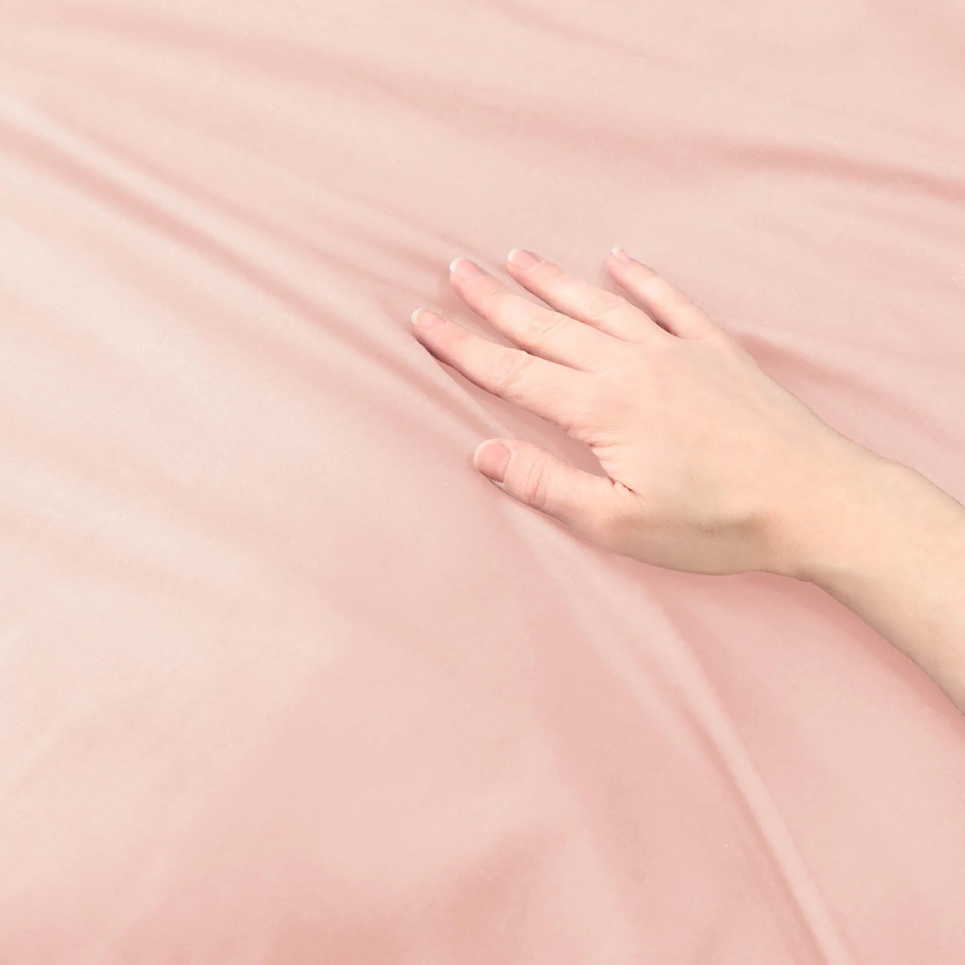 Cotton Percale Modern Traditional Duvet Cover Set - Blush