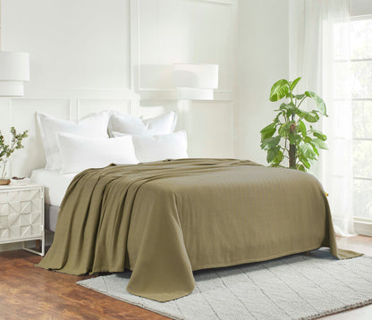 Chevron All-Season Cotton Blanket - Sage