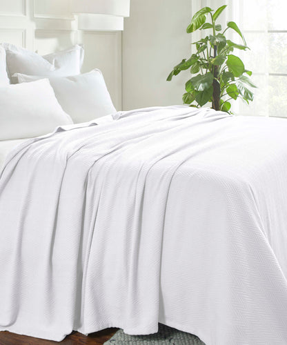 Chevron All-Season Cotton Blanket - White