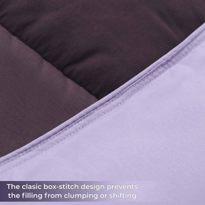 Brushed Microfiber Reversible Down Alternative Comforter - Plum-Lilac