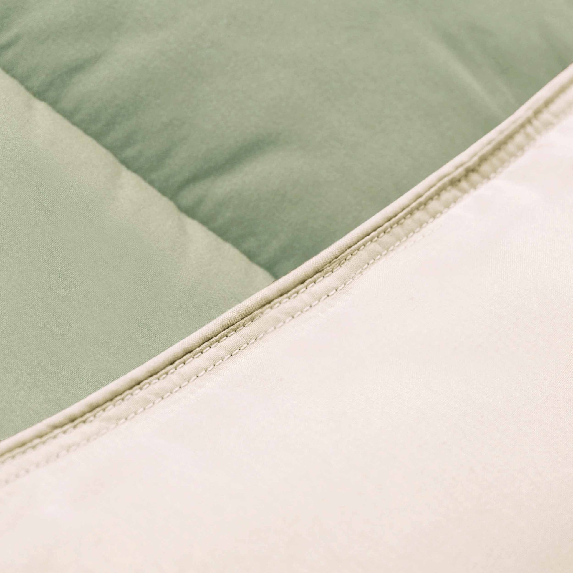 Brushed Microfiber Reversible Down Alternative Comforter - Ivory-sage