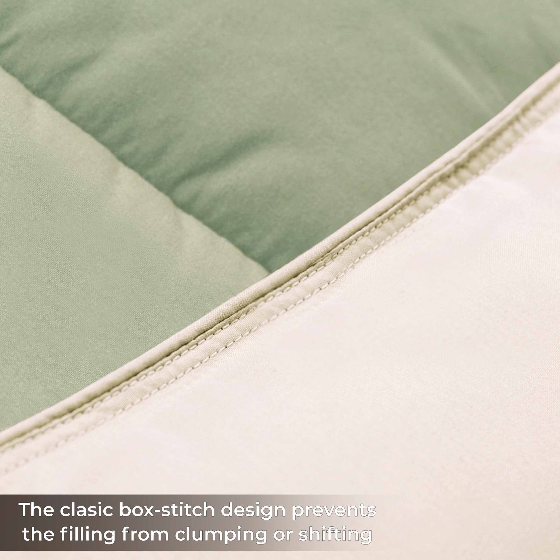 Brushed Microfiber Reversible Down Alternative Comforter - Ivory-sage