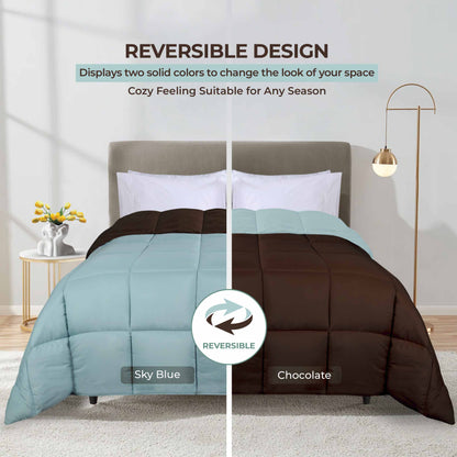 Brushed Microfiber Reversible Down Alternative Comforter - Choco-Sky Blue