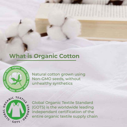 Gina Organic Cotton 300 Thread Count Percale Flat Bed Sheet -White