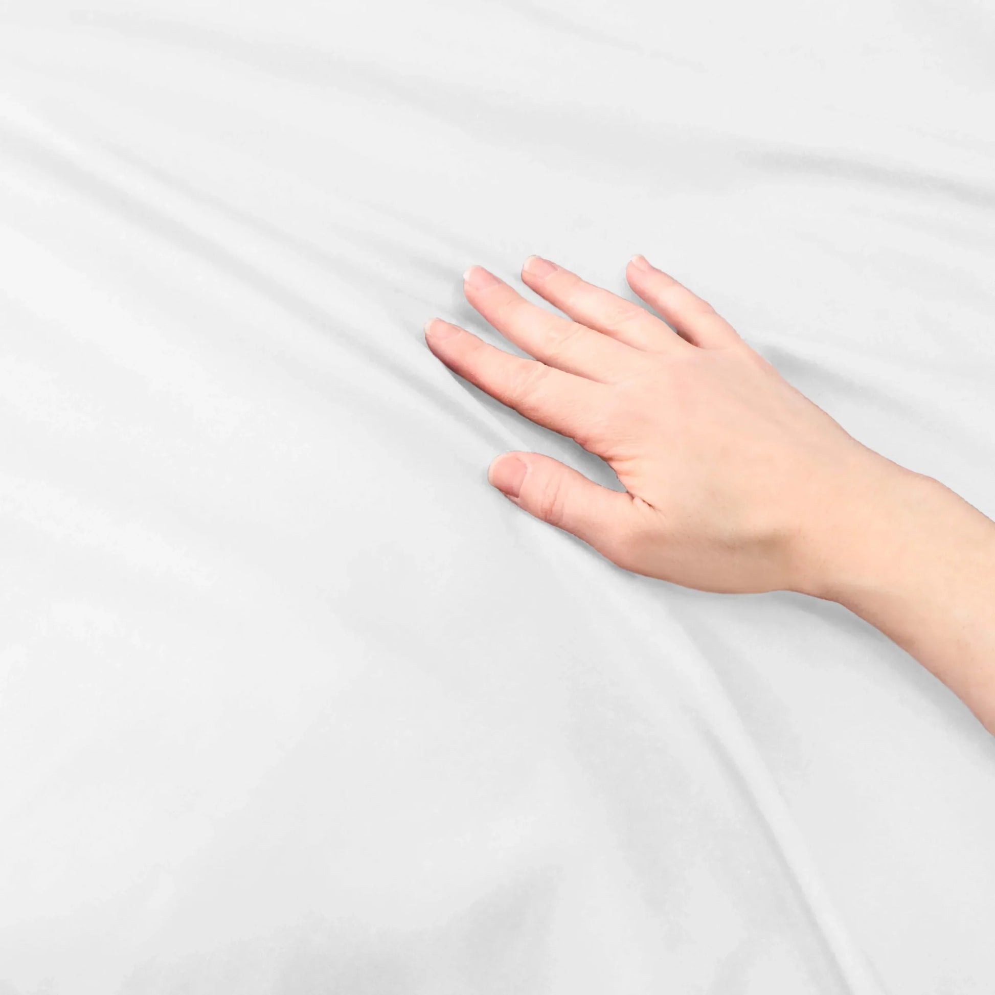 Cotton Percale Modern Traditional Duvet Cover Set - White